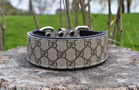 collier pour chien gucci|gucci designer dog collars.